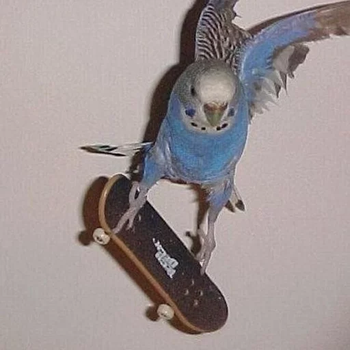 Sticker Крутые Скейтеры - 5