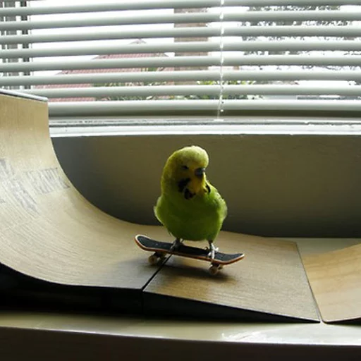 Sticker Крутые Скейтеры - 4