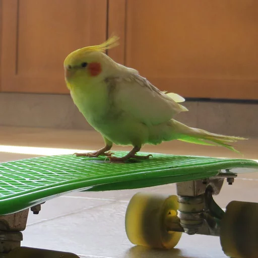 Sticker Крутые Скейтеры - 3