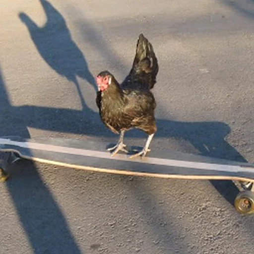 Sticker Крутые Скейтеры - 2