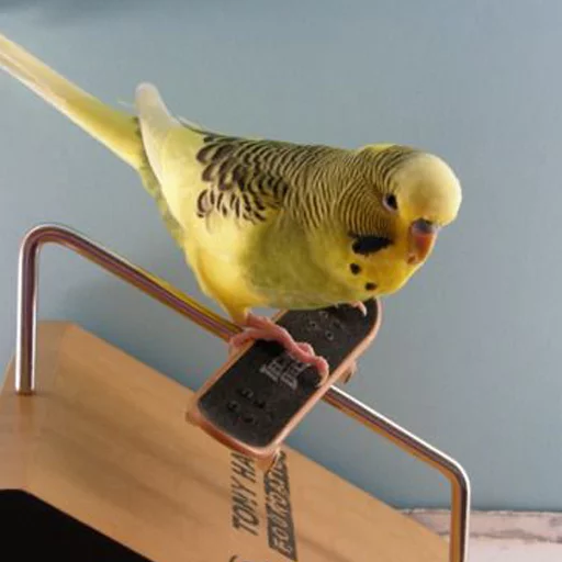 Sticker Крутые Скейтеры - 1