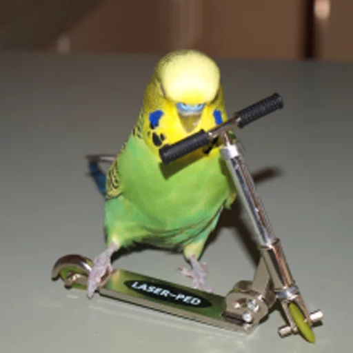 Sticker Крутые Скейтеры - 0