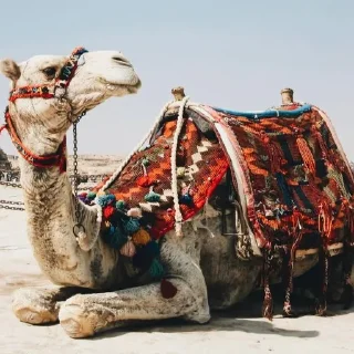 Стикер Обои HD 4k 8k @oboykikartinki - 8