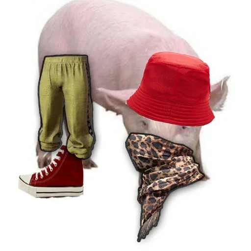 Sticker Don't say - 6