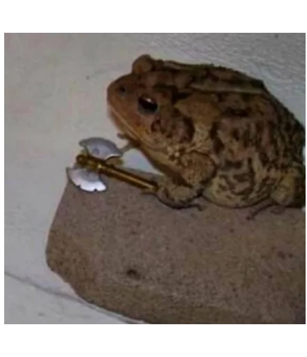 животное лягушка амфибия