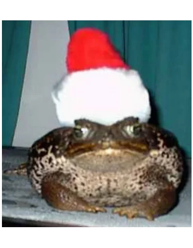 животное пресмыкающееся амфибия