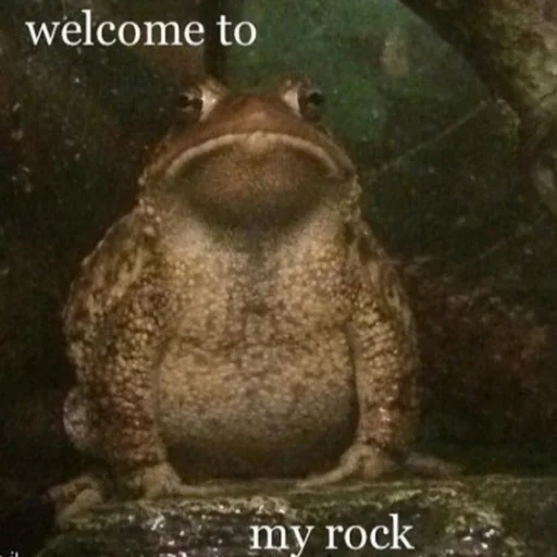 животное лягушка амфибия