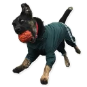 Sticker CooperTheDog - 2