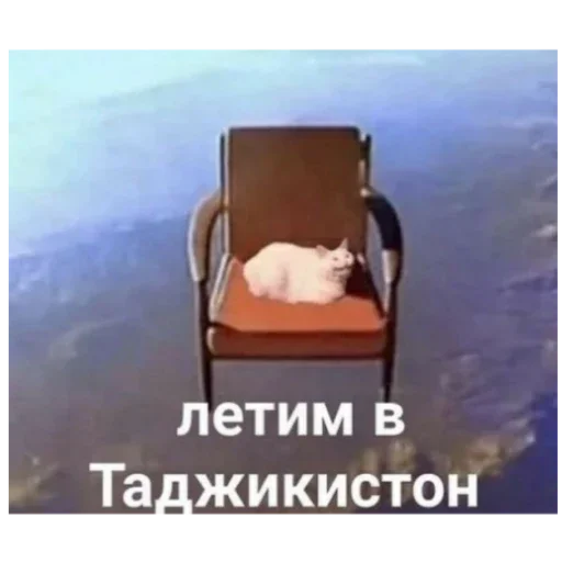 CoordOmskАльянс 2 - 