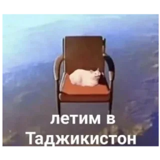 Стикер CoordOmskАльянс 2 - 7