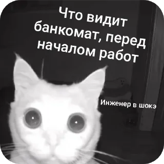 Стикер CoordOmskАльянс 2 - 8