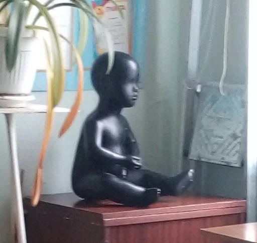 ваза комнатный млекопитающее