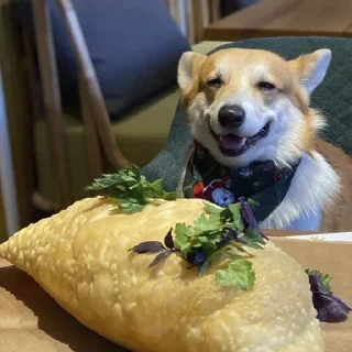 Sticker Корги Рик - 3