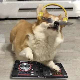 Sticker Корги Рик - 9