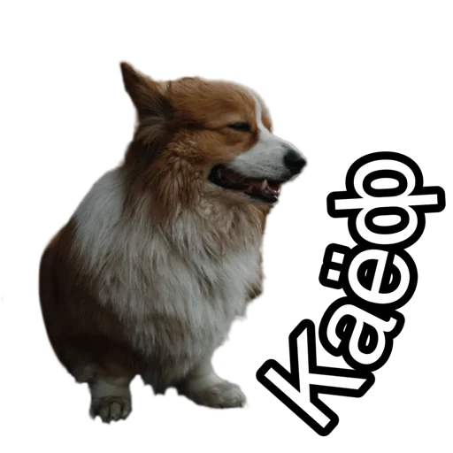 Sticker Corgiya_moscow - 1