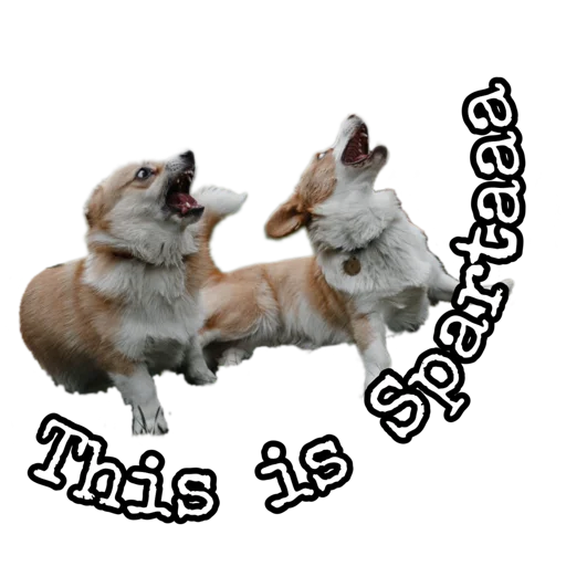 Sticker Corgiya_moscow - 1