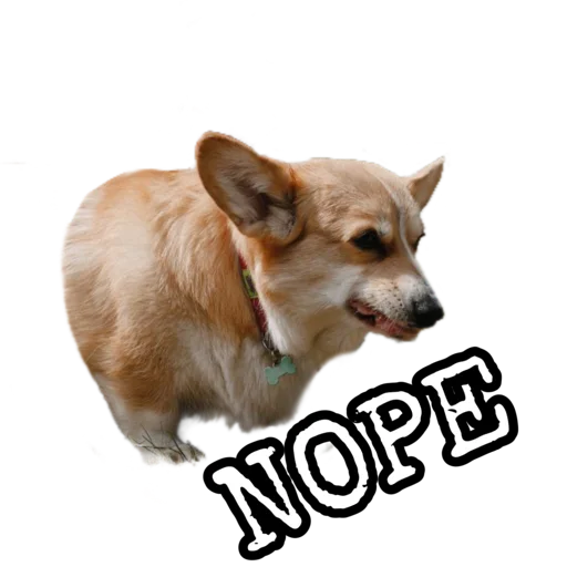 Sticker Corgiya_moscow - 1