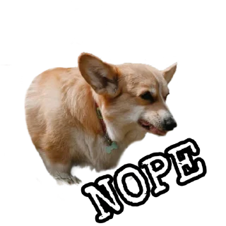 Sticker Corgiya Moscow - 5