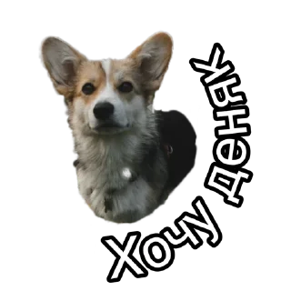 Sticker Corgiya Moscow - 1