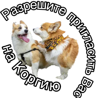 Sticker Corgiya Moscow - 8