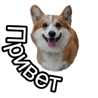 Sticker Corgiya Moscow - 10