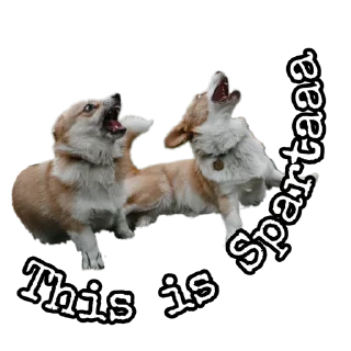 Sticker Corgiya Moscow - 9