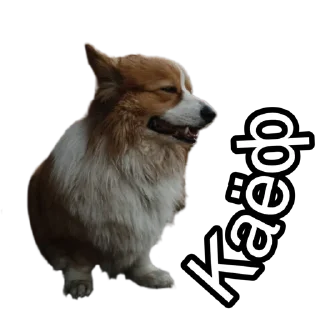 Sticker Corgiya Moscow - 11