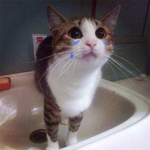 Sticker Corvum Random pack - 5