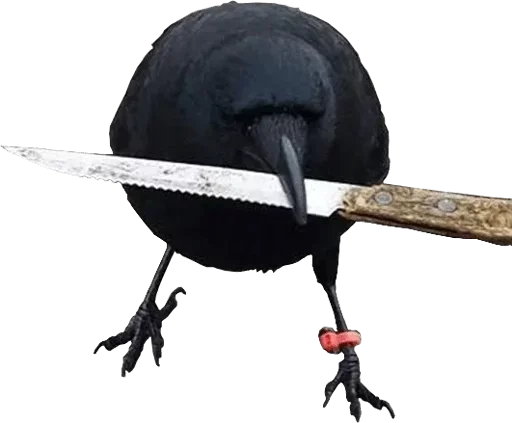 Corvus (@i_Love_Akame) - 