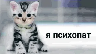 Стикер нормал музыка - 11