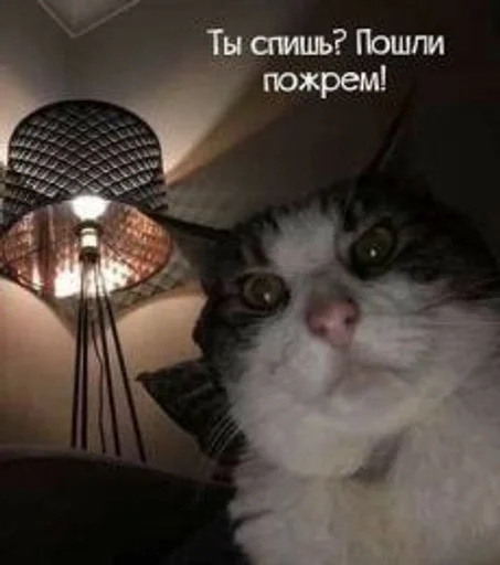 Sticker CothsConsEoan :: @fStikBot - 1