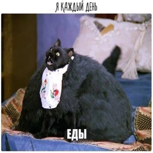 Sticker Cotophony - 1