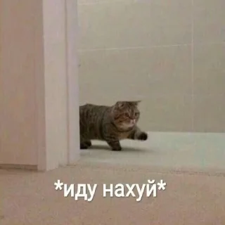 Sticker Котофония - 5