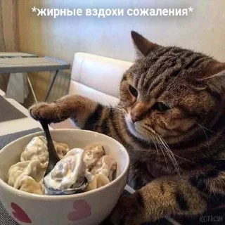 Sticker Котофония - 6