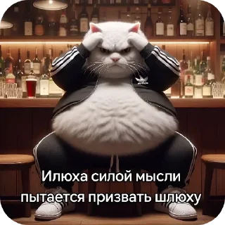 Sticker ОЛЕГ ЧУЧОТКА @TgEmodziBot - 8