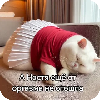 Sticker ОЛЕГ ЧУЧОТКА @TgEmodziBot - 10