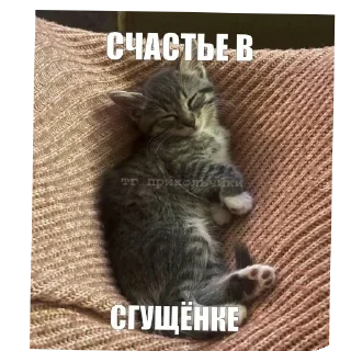 Sticker Больше стиков тут: @stikery4 - 8