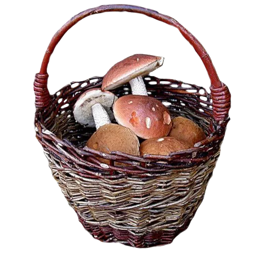 container basket storage basket