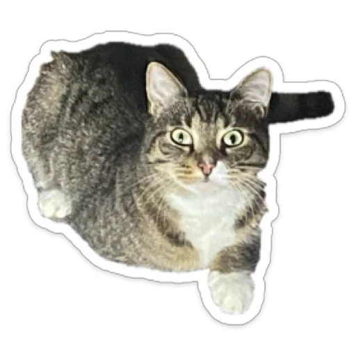 Sticker CrazyValentine - 1