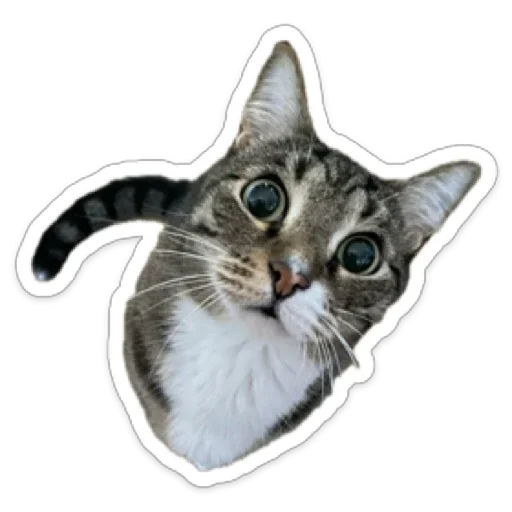 Sticker CrazyValentine - 1