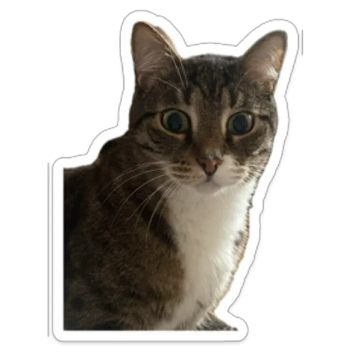 Sticker CrazyValentine - 1