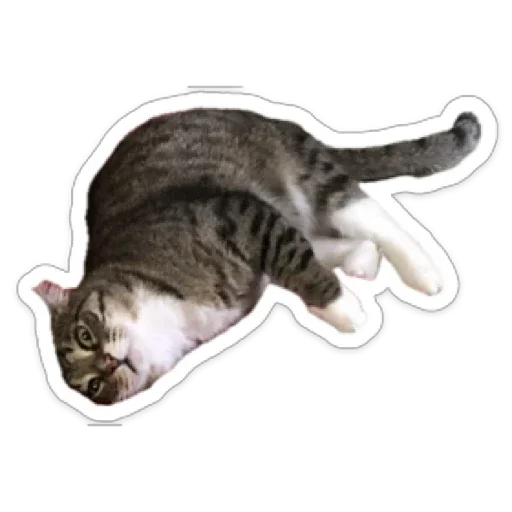 Sticker CrazyValentine - 1