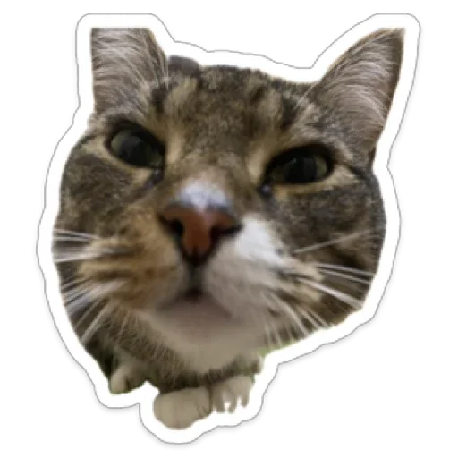 Sticker CrazyValentine - 1