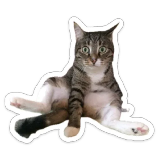 Sticker CrazyValentine - 1