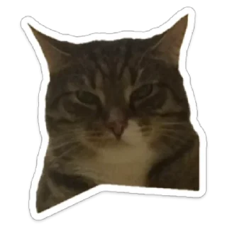 Стикер Валентин - 5