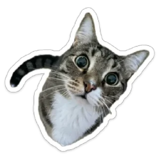 Стикер Валентин - 8