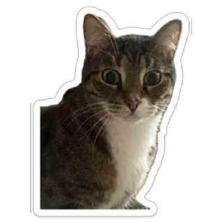 Стикер Валентин - 7