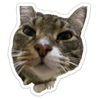 Стикер Валентин - 3