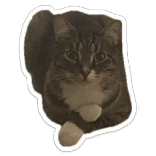 Стикер Валентин - 9