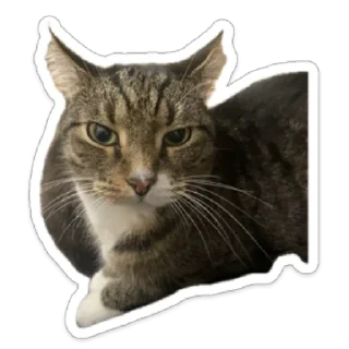 Стикер Валентин - 4